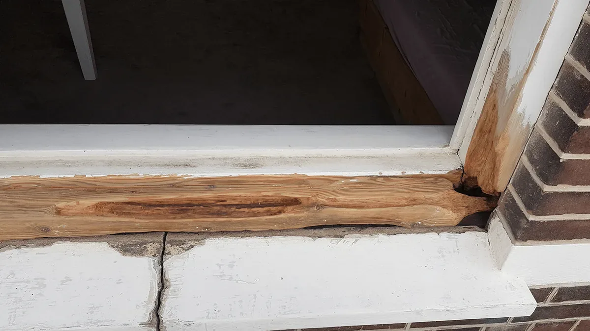 Houtrotherstel door RN Schilders in Woerden